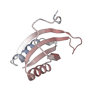 21571_6w7m_F_v1-2
30S-Inactive-high-Mg2+ + carbon layer