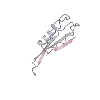 21571_6w7m_J_v1-2
30S-Inactive-high-Mg2+ + carbon layer