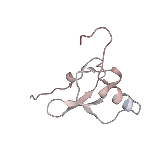 21571_6w7m_S_v1-2
30S-Inactive-high-Mg2+ + carbon layer