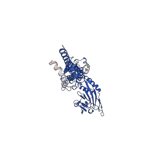 32336_7w72_S_v1-2
Structure of a human glycosylphosphatidylinositol (GPI) transamidase
