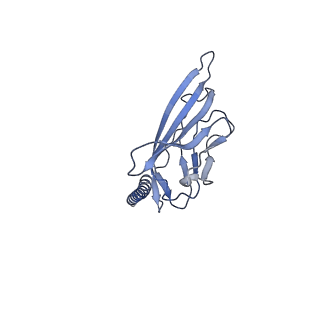 32341_7w77_B_v1-0
cryo-EM structure of human NaV1.3/beta1/beta2-bulleyaconitineA