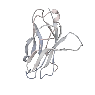 32341_7w77_C_v1-0
cryo-EM structure of human NaV1.3/beta1/beta2-bulleyaconitineA