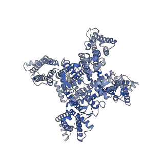 32341_7w77_D_v1-0
cryo-EM structure of human NaV1.3/beta1/beta2-bulleyaconitineA