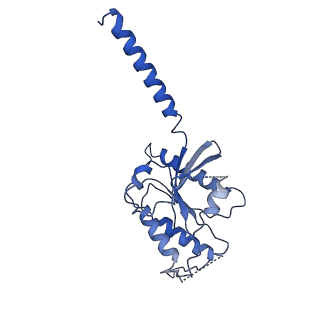 32342_7w7e_A_v1-1
Cryo-EM structure of the alpha2A adrenergic receptor GoA signaling complex bound to a biased agonist