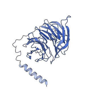 32342_7w7e_B_v1-1
Cryo-EM structure of the alpha2A adrenergic receptor GoA signaling complex bound to a biased agonist