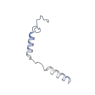 32342_7w7e_G_v1-1
Cryo-EM structure of the alpha2A adrenergic receptor GoA signaling complex bound to a biased agonist