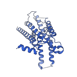32342_7w7e_R_v1-1
Cryo-EM structure of the alpha2A adrenergic receptor GoA signaling complex bound to a biased agonist