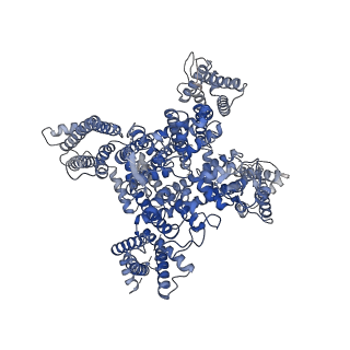 32343_7w7f_D_v1-0
Cryo-EM structure of human NaV1.3/beta1/beta2-ICA121431