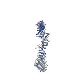 32344_7w7g_A_v1-1
Structure of Mammalian NALCN-FAM155A-UNC79-UNC80 quanternary complex
