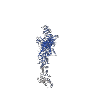 32344_7w7g_B_v1-1
Structure of Mammalian NALCN-FAM155A-UNC79-UNC80 quanternary complex