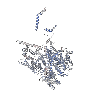 32344_7w7g_C_v1-1
Structure of Mammalian NALCN-FAM155A-UNC79-UNC80 quanternary complex