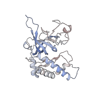 32346_7w7p_A_v1-1
Cryo-EM structure of gMCM8/9 helicase