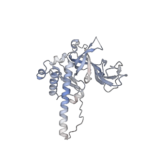 32346_7w7p_B_v1-1
Cryo-EM structure of gMCM8/9 helicase