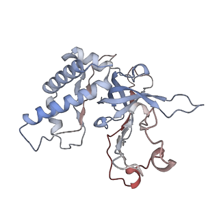 32346_7w7p_C_v1-1
Cryo-EM structure of gMCM8/9 helicase