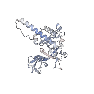 32346_7w7p_D_v1-1
Cryo-EM structure of gMCM8/9 helicase