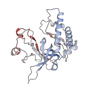 32346_7w7p_E_v1-1
Cryo-EM structure of gMCM8/9 helicase