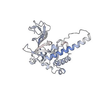 32346_7w7p_F_v1-1
Cryo-EM structure of gMCM8/9 helicase