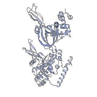37343_8w7m_2_v1-0
Yeast replisome in state V