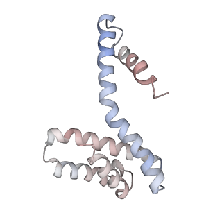 8780_5w7g_N_v1-4
An envelope of a filamentous hyperthermophilic virus carries lipids in a horseshoe conformation