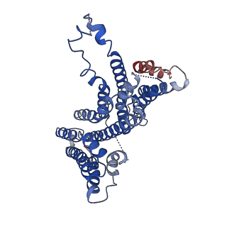 21575_6w8n_A_v1-0
Structure of a trans-membrane protein