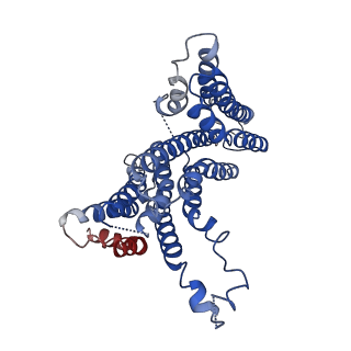 21575_6w8n_B_v1-0
Structure of a trans-membrane protein