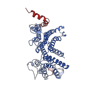 21576_6w8o_A_v1-0
Structure of an Apo membrane protein