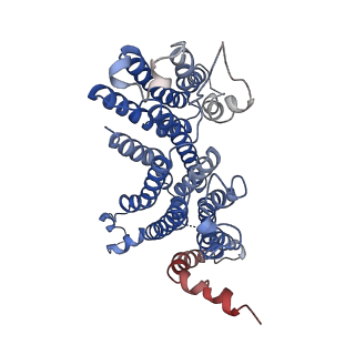 21576_6w8o_B_v1-0
Structure of an Apo membrane protein