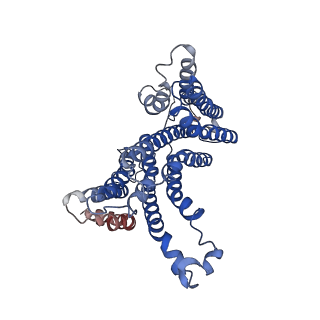21577_6w8p_B_v1-0
Structure of membrane protein with ions