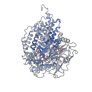 32351_7w84_A_v1-0
CryoEM structure of apo form ZmRDR2 at 3.4 Angstroms resolution