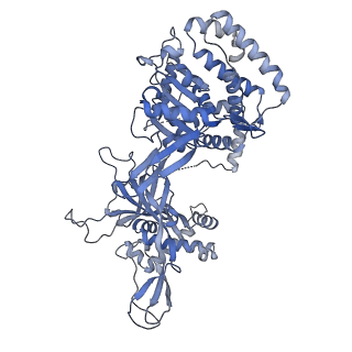 32355_7w8g_2_v1-0
Cryo-EM structure of MCM double hexamer