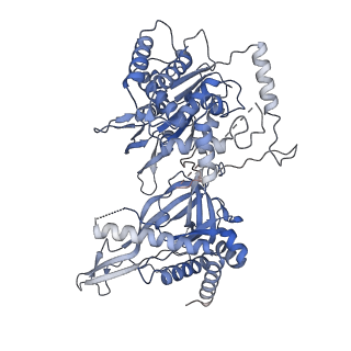 32355_7w8g_3_v1-0
Cryo-EM structure of MCM double hexamer