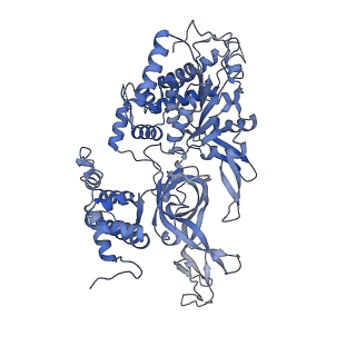 32355_7w8g_4_v1-0
Cryo-EM structure of MCM double hexamer