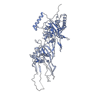 32355_7w8g_6_v1-0
Cryo-EM structure of MCM double hexamer