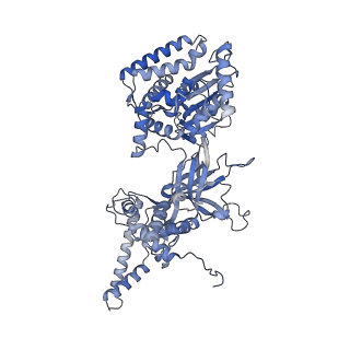32355_7w8g_7_v1-0
Cryo-EM structure of MCM double hexamer