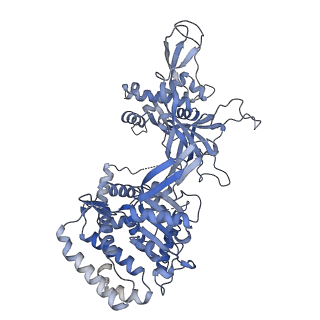 32355_7w8g_B_v1-0
Cryo-EM structure of MCM double hexamer