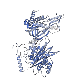 32355_7w8g_C_v1-0
Cryo-EM structure of MCM double hexamer