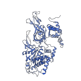32355_7w8g_D_v1-0
Cryo-EM structure of MCM double hexamer
