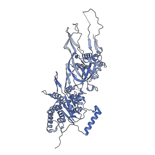 32355_7w8g_F_v1-0
Cryo-EM structure of MCM double hexamer