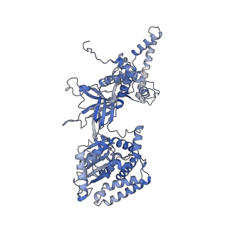 32355_7w8g_G_v1-0
Cryo-EM structure of MCM double hexamer
