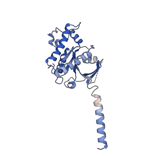 37347_8w87_A_v1-1
Cryo-EM structure of the METH-TAAR1 complex