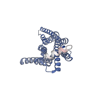 37347_8w87_R_v1-1
Cryo-EM structure of the METH-TAAR1 complex
