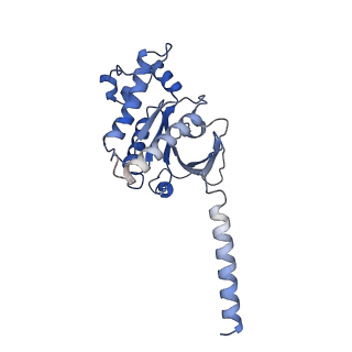 37349_8w89_A_v1-1
Cryo-EM structure of the PEA-bound TAAR1-Gs complex
