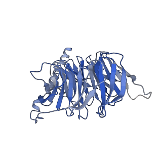 37349_8w89_B_v1-1
Cryo-EM structure of the PEA-bound TAAR1-Gs complex