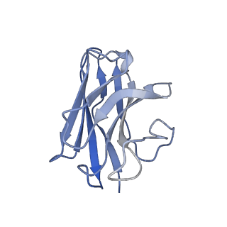 37349_8w89_N_v1-1
Cryo-EM structure of the PEA-bound TAAR1-Gs complex