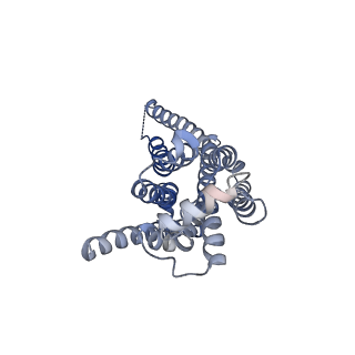37349_8w89_R_v1-1
Cryo-EM structure of the PEA-bound TAAR1-Gs complex