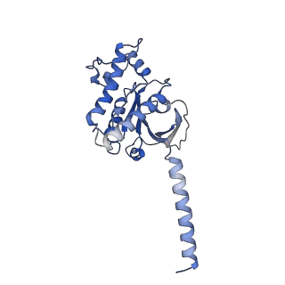 37350_8w8a_A_v1-1
Cryo-EM structure of the RO5256390-TAAR1 complex