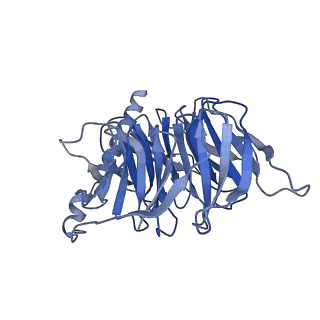 37350_8w8a_B_v1-1
Cryo-EM structure of the RO5256390-TAAR1 complex
