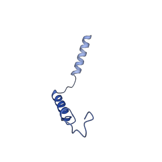37350_8w8a_G_v1-1
Cryo-EM structure of the RO5256390-TAAR1 complex