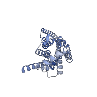 37350_8w8a_R_v1-1
Cryo-EM structure of the RO5256390-TAAR1 complex