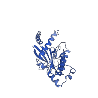 37356_8w8q_A_v1-0
Cryo-EM structure of the GPR101-Gs complex